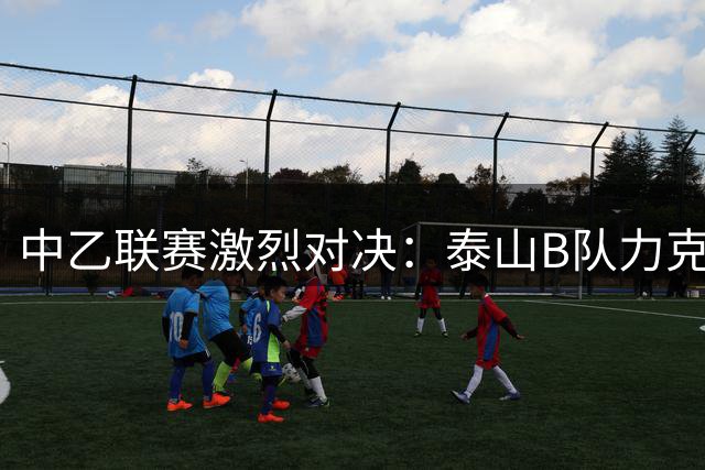 中乙联赛激烈对决：泰山B队力克海港B队，深圳二零二八狂胜赣州瑞狮