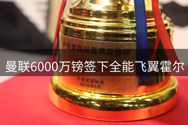 曼联6000万镑签下全能飞翼霍尔 拉什福德迎来最佳搭档